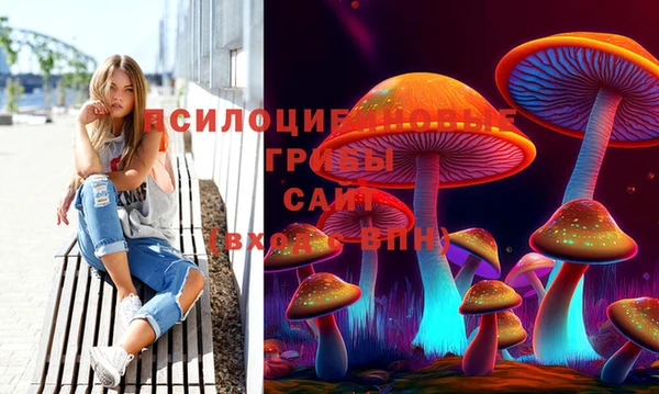 гидропоника Новозыбков