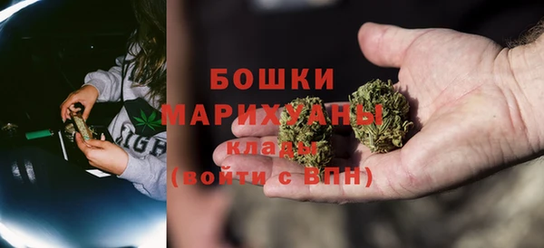 гидропоника Новозыбков