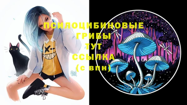дурь Новокубанск
