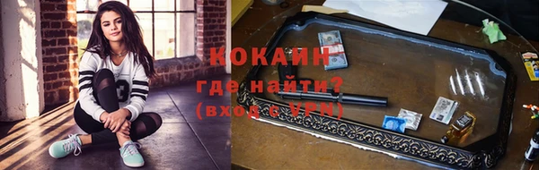 гидропоника Новозыбков