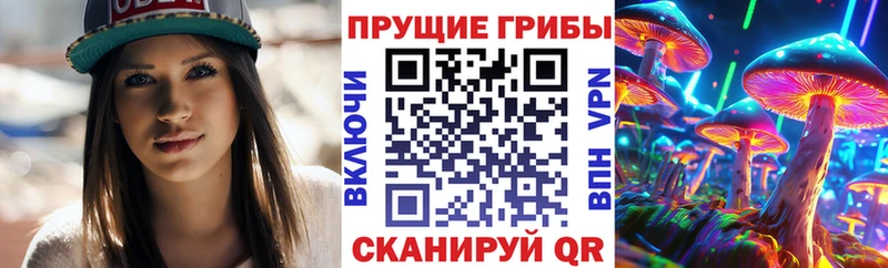 закладка  Ужур  Псилоцибиновые грибы Psilocybe 